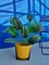 Bird of Paradise Silk Artificial Plant Faux Banana Leaf Tree Fake Tropical Palm Tree for Home Decor Indoor Floor Plant